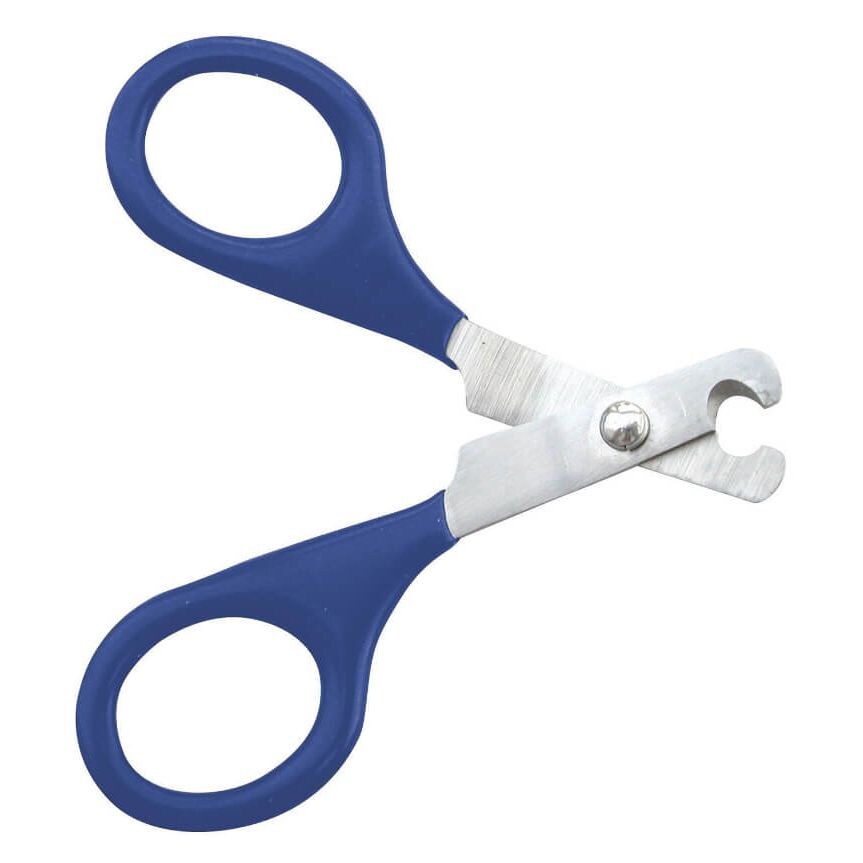 nail trimmer