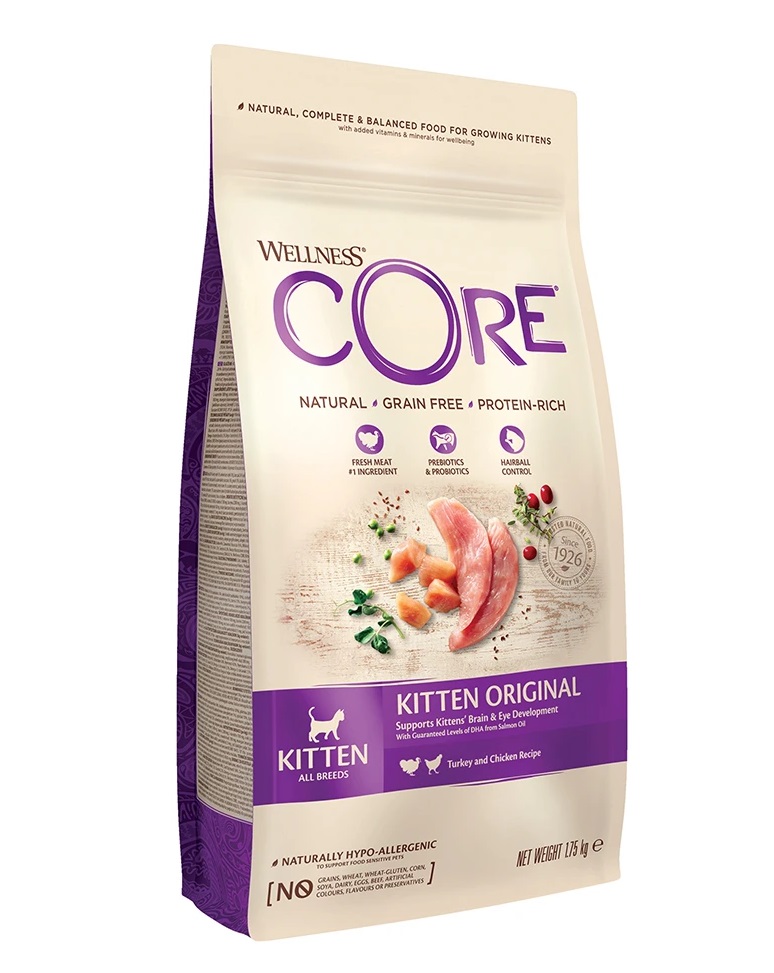core kitten
