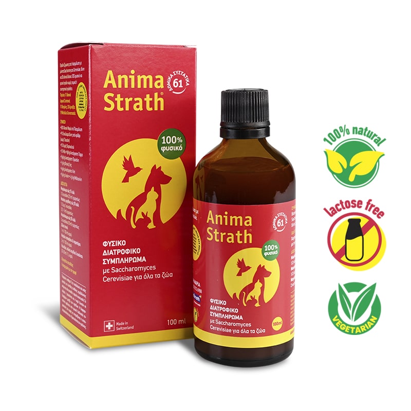 web10_100ml-min