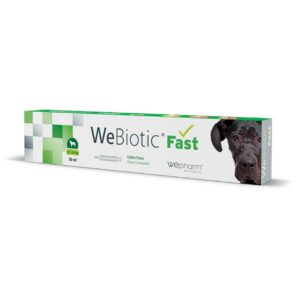 Wepharm Webiotic Fast Medium & Large Breed Αντιδιαρροικό 30ml