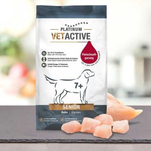 platinum vetactive senior